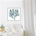 Picture of Teal Coral  _GroupedProduct_Square_Canvas_Framed_
