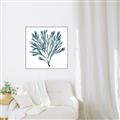 Picture of Teal Coral  _GroupedProduct_Square_Canvas_Framed_