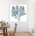 Picture of Teal Coral  _GroupedProduct_Square_Canvas_Framed_
