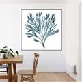 Picture of Teal Coral  _GroupedProduct_Square_Canvas_Framed_