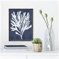 Picture of Navy Coral II  _GroupedProduct_Rectangle_Portrait_Canvas_Framed_