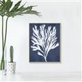 Picture of Navy Coral II  _GroupedProduct_Rectangle_Portrait_Canvas_Framed_