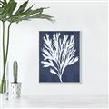 Picture of Navy Coral II  _GroupedProduct_Rectangle_Portrait_Canvas_Framed_