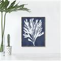 Picture of Navy Coral II  _GroupedProduct_Rectangle_Portrait_Canvas_Framed_