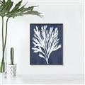 Picture of Navy Coral II  _GroupedProduct_Rectangle_Portrait_Canvas_Framed_