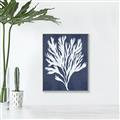 Picture of Navy Coral II  _GroupedProduct_Rectangle_Portrait_Canvas_Framed_