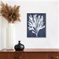 Picture of Navy Coral II  _GroupedProduct_Rectangle_Portrait_Canvas_Framed_
