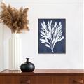 Picture of Navy Coral II  _GroupedProduct_Rectangle_Portrait_Canvas_Framed_
