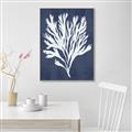Picture of Navy Coral II  _GroupedProduct_Rectangle_Portrait_Canvas_Framed_