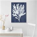 Picture of Navy Coral II  _GroupedProduct_Rectangle_Portrait_Canvas_Framed_