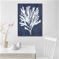 Picture of Navy Coral II  _GroupedProduct_Rectangle_Portrait_Canvas_Framed_