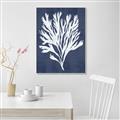 Picture of Navy Coral II  _GroupedProduct_Rectangle_Portrait_Canvas_Framed_