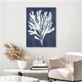 Picture of Navy Coral II  _GroupedProduct_Rectangle_Portrait_Canvas_Framed_