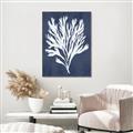 Picture of Navy Coral II  _GroupedProduct_Rectangle_Portrait_Canvas_Framed_