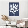 Picture of Navy Coral II  _GroupedProduct_Rectangle_Portrait_Canvas_Framed_