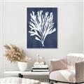 Picture of Navy Coral II  _GroupedProduct_Rectangle_Portrait_Canvas_Framed_