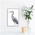 Picture of Egret II  _GroupedProduct_Rectangle_Portrait_Canvas_Framed_