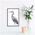 Picture of Egret II  _GroupedProduct_Rectangle_Portrait_Canvas_Framed_