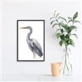 Picture of Egret II  _GroupedProduct_Rectangle_Portrait_Canvas_Framed_