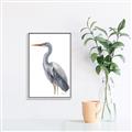 Picture of Egret II  _GroupedProduct_Rectangle_Portrait_Canvas_Framed_