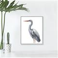 Picture of Egret II  _GroupedProduct_Rectangle_Portrait_Canvas_Framed_