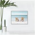 Picture of Muskoka Chairs with hats _GroupedProduct_Rectangle_Landscape_Photography _GroupedProduct_Rectangle_Landscape_Canvas_Framed_