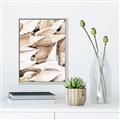 Picture of All the Shells  _GroupedProduct_Rectangle_Portrait_Photography _GroupedProduct_Rectangle_Portrait_Canvas_Framed_