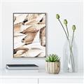 Picture of All the Shells  _GroupedProduct_Rectangle_Portrait_Photography _GroupedProduct_Rectangle_Portrait_Canvas_Framed_