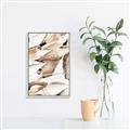 Picture of All the Shells  _GroupedProduct_Rectangle_Portrait_Photography _GroupedProduct_Rectangle_Portrait_Canvas_Framed_