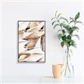 Picture of All the Shells  _GroupedProduct_Rectangle_Portrait_Photography _GroupedProduct_Rectangle_Portrait_Canvas_Framed_