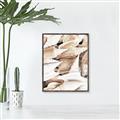 Picture of All the Shells  _GroupedProduct_Rectangle_Portrait_Photography _GroupedProduct_Rectangle_Portrait_Canvas_Framed_