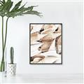 Picture of All the Shells  _GroupedProduct_Rectangle_Portrait_Photography _GroupedProduct_Rectangle_Portrait_Canvas_Framed_
