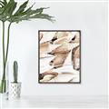 Picture of All the Shells  _GroupedProduct_Rectangle_Portrait_Photography _GroupedProduct_Rectangle_Portrait_Canvas_Framed_