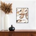 Picture of All the Shells  _GroupedProduct_Rectangle_Portrait_Photography _GroupedProduct_Rectangle_Portrait_Canvas_Framed_