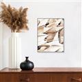 Picture of All the Shells  _GroupedProduct_Rectangle_Portrait_Photography _GroupedProduct_Rectangle_Portrait_Canvas_Framed_