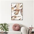 Picture of All the Shells  _GroupedProduct_Rectangle_Portrait_Photography _GroupedProduct_Rectangle_Portrait_Canvas_Framed_