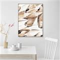 Picture of All the Shells  _GroupedProduct_Rectangle_Portrait_Photography _GroupedProduct_Rectangle_Portrait_Canvas_Framed_