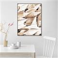 Picture of All the Shells  _GroupedProduct_Rectangle_Portrait_Photography _GroupedProduct_Rectangle_Portrait_Canvas_Framed_