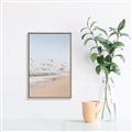 Picture of Beach Birds _GroupedProduct_Rectangle_Portrait_Photography _GroupedProduct_Rectangle_Portrait_Canvas_Framed_