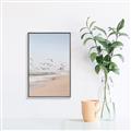 Picture of Beach Birds _GroupedProduct_Rectangle_Portrait_Photography _GroupedProduct_Rectangle_Portrait_Canvas_Framed_