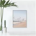 Picture of Beach Birds _GroupedProduct_Rectangle_Portrait_Photography _GroupedProduct_Rectangle_Portrait_Canvas_Framed_