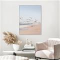 Picture of Beach Birds _GroupedProduct_Rectangle_Portrait_Photography _GroupedProduct_Rectangle_Portrait_Canvas_Framed_