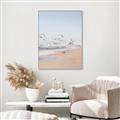 Picture of Beach Birds _GroupedProduct_Rectangle_Portrait_Photography _GroupedProduct_Rectangle_Portrait_Canvas_Framed_