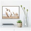 Picture of Beach Pampas _GroupedProduct_Rectangle_Landscape_Photography _GroupedProduct_Rectangle_Landscape_Canvas_Framed_