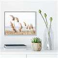 Picture of Beach Pampas _GroupedProduct_Rectangle_Landscape_Photography _GroupedProduct_Rectangle_Landscape_Canvas_Framed_
