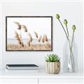 Picture of Beach Pampas _GroupedProduct_Rectangle_Landscape_Photography _GroupedProduct_Rectangle_Landscape_Canvas_Framed_