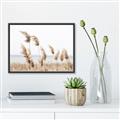 Picture of Beach Pampas _GroupedProduct_Rectangle_Landscape_Photography _GroupedProduct_Rectangle_Landscape_Canvas_Framed_