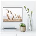 Picture of Beach Pampas _GroupedProduct_Rectangle_Landscape_Photography _GroupedProduct_Rectangle_Landscape_Canvas_Framed_