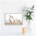 Picture of Beach Pampas _GroupedProduct_Rectangle_Landscape_Photography _GroupedProduct_Rectangle_Landscape_Canvas_Framed_