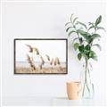 Picture of Beach Pampas _GroupedProduct_Rectangle_Landscape_Photography _GroupedProduct_Rectangle_Landscape_Canvas_Framed_